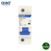 NXB 1P Chint 6kA-100A