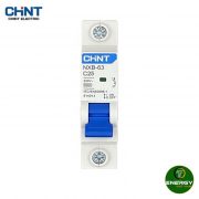 NXB 1P Chint 6kA-25A